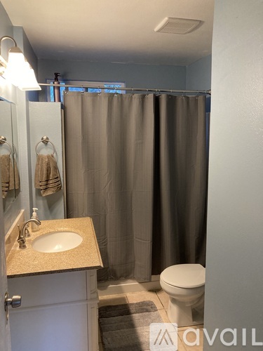 A bathroom with a toilet, sink, and shower curtain.