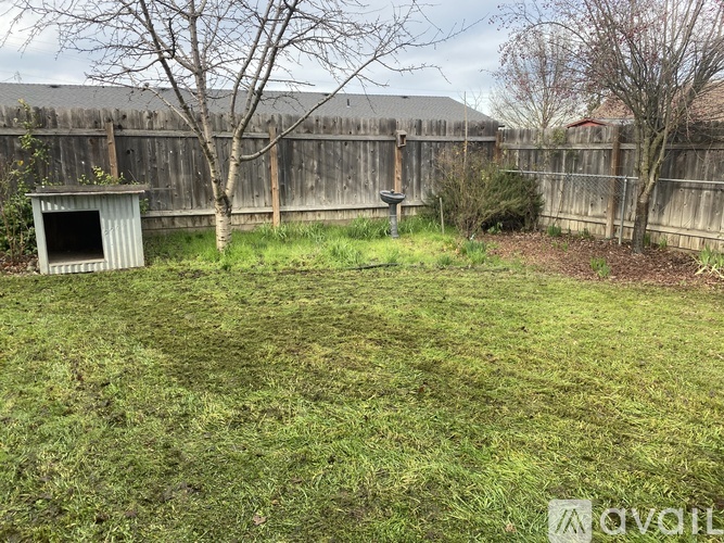 A backyard with a shed, fence, and trees.