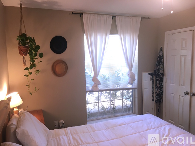 A bedroom with a bed, a window with curtains, and a hanging plant.