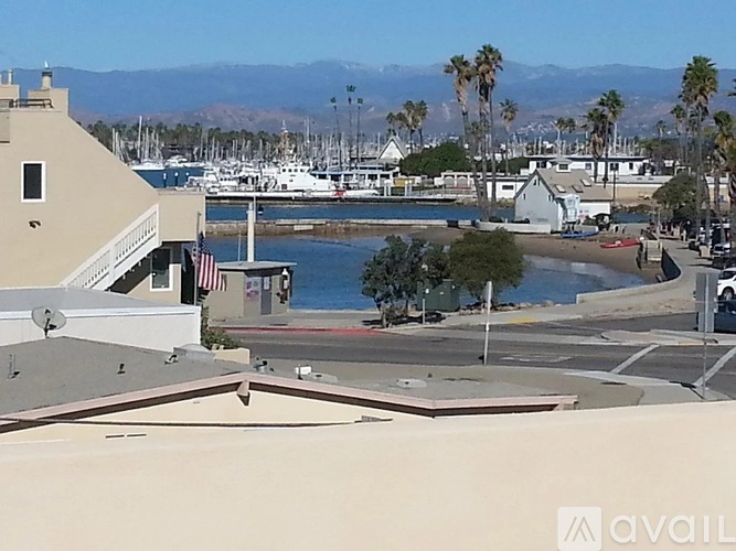 A view of a marina with boats and palm trees.