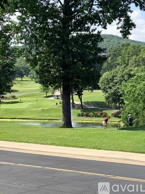 A tree in a grassy area with a person in the background.
