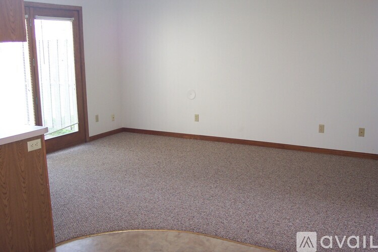 A carpeted room with a wooden door and a wooden cabinet.