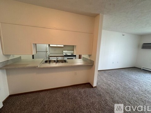 A kitchen area with a sink and a countertop.