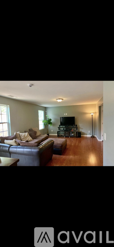 A living room with a couch and a television.