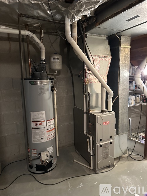 A water heater and a boiler are installed in a basement.