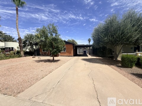 A driveway leads to a house with a palm tree on the left.