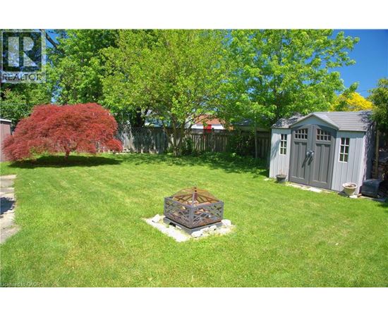 A backyard with a shed and a tree.