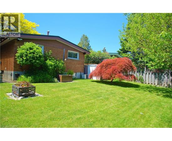 A backyard with a red bush and a wooden crate on the lawn.