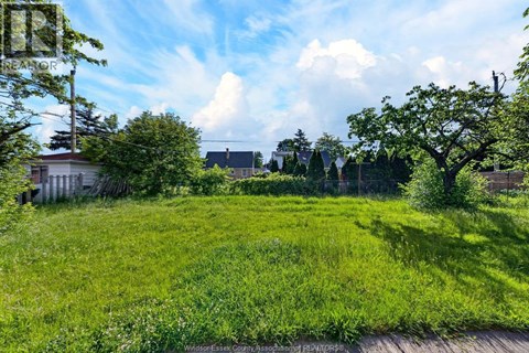 A grassy field with a wooden fence and trees in the background.