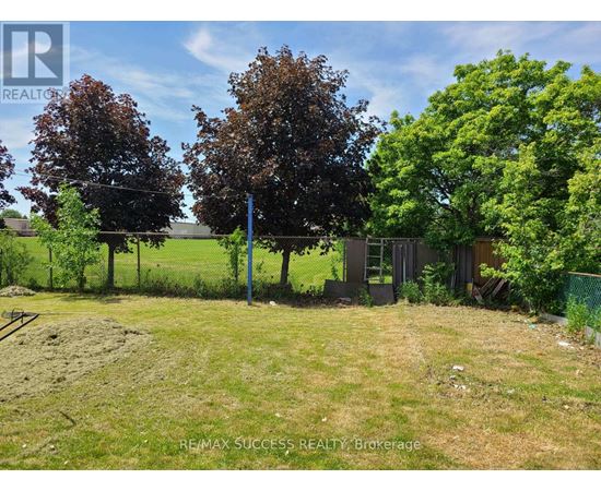 A field with trees and a fence in the background.