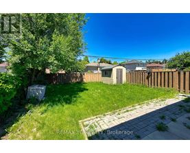 A backyard with a wooden fence and a small tree.