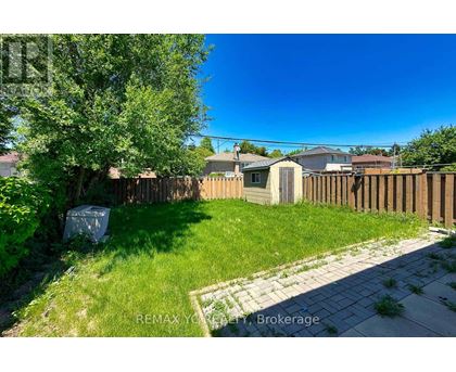 A backyard with a wooden fence and a small tree.