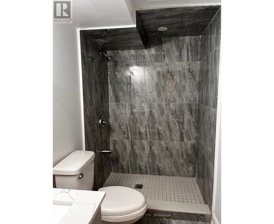 A bathroom with a toilet, a walk-in shower, and a marble wall.