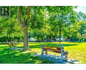 A park bench sits under a tree on a sunny day.