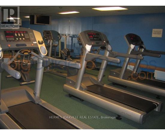 A gym with treadmills and elliptical machines.