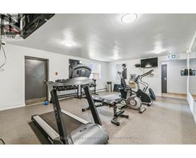 A spacious room with a treadmill, elliptical trainer, and stationary bike.