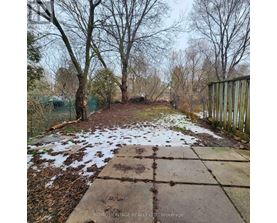 A pathway with snow on the ground and trees on the side.