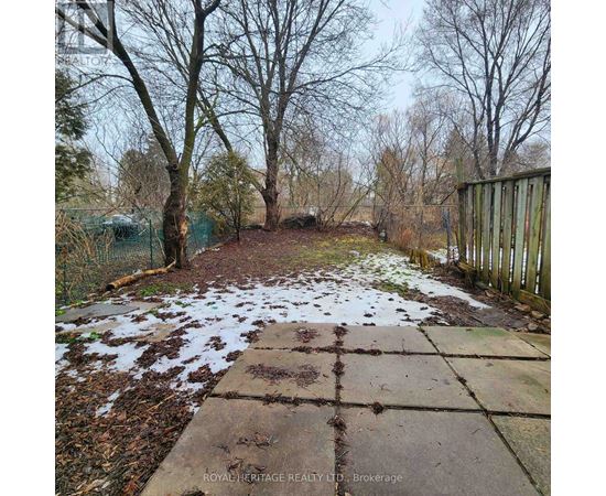 A pathway with snow on the ground and trees on the side.