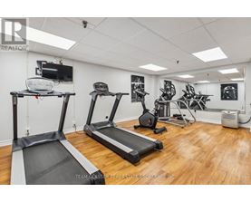 A gym with treadmills, exercise bikes, and other equipment.