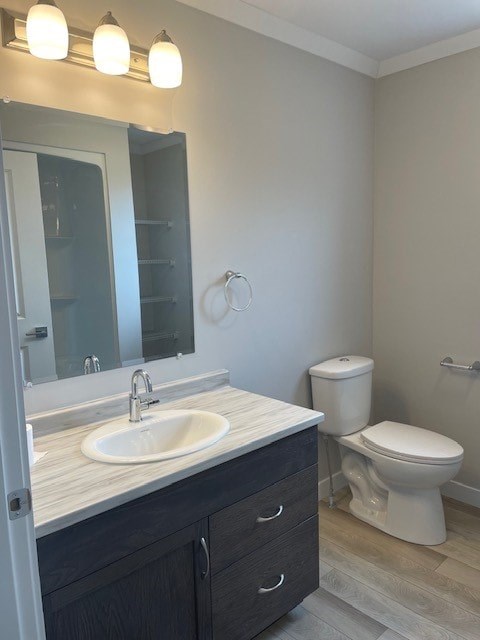 A bathroom with a sink, toilet, and mirror.