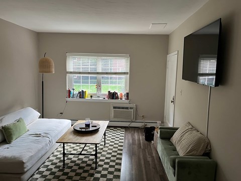 A living room with a checkered floor and a green couch.
