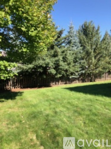 A grassy area with trees and a fence in the background.