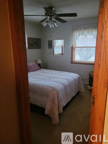 A bedroom with a bed, ceiling fan, and two windows.