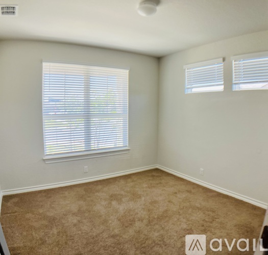 A room with carpeted floor and two windows.
