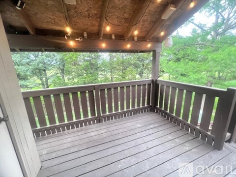 A wooden deck with lights on the ceiling and a view of trees outside.