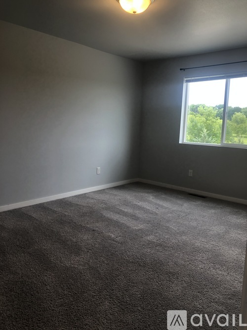 A room with a carpeted floor and a window showing trees outside.