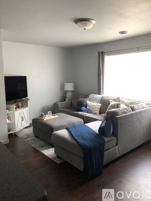 A living room with a grey couch and a blue blanket.