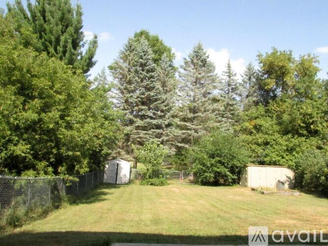 A backyard with a fence and trees.