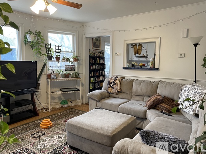 A living room with a grey couch, a television, and a rug.