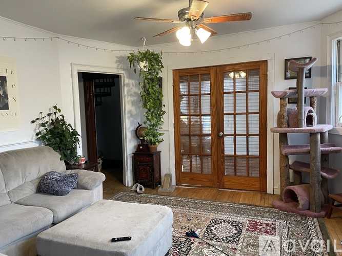 A living room with a grey couch, a rug, a cat tree, and a ceiling fan.