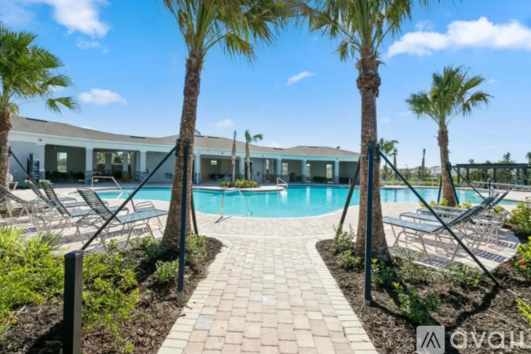 A pool surrounded by palm trees and lounge chairs.