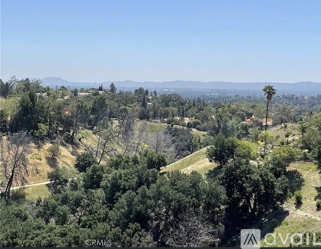 A landscape with trees and a clear sky.