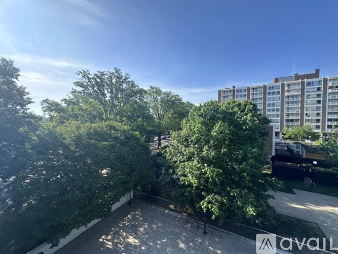 A sunny day in a courtyard surrounded by trees and buildings.