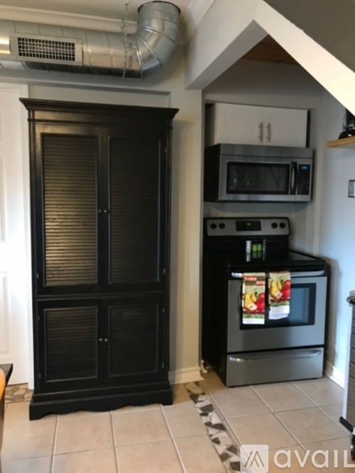 A black cabinet with a microwave and oven on top of it.