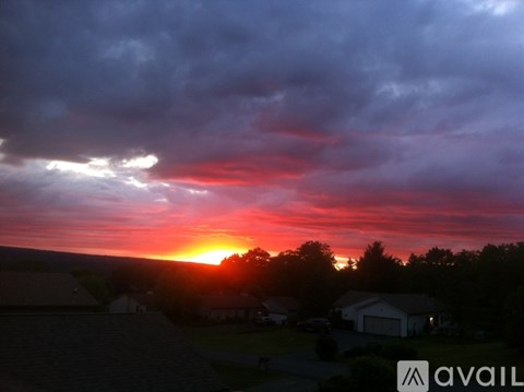 A sunset over a residential area with houses and trees.