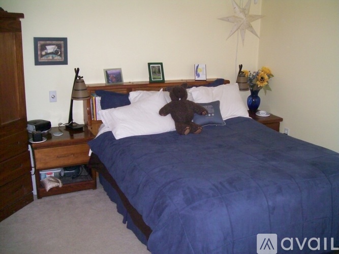 309 Sunny View Lane 3 Beds Single Family Home for Rent - Photo gallery 5