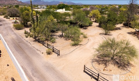 A road with a fence and trees in the desert.
