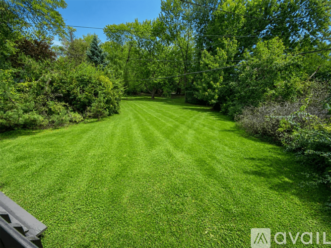 A lush green lawn surrounded by trees and bushes.