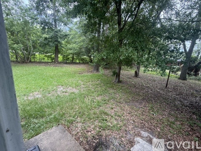 A backyard with a grassy area, trees, and a concrete path.