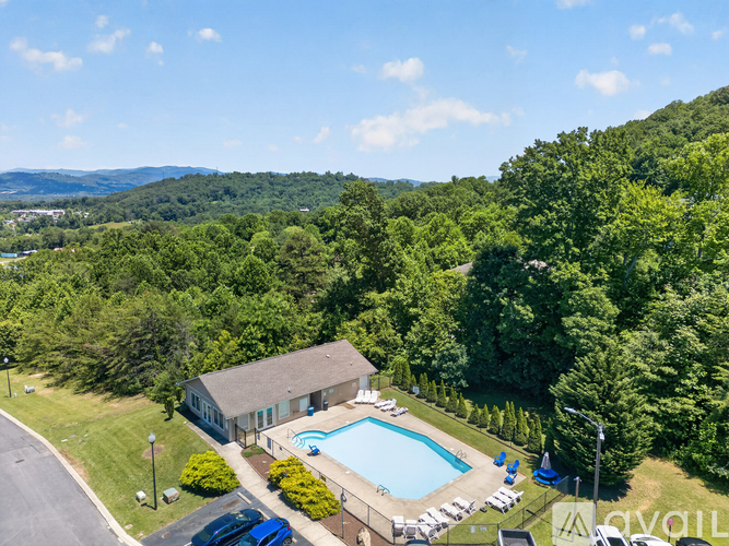A pool and a house surrounded by trees.