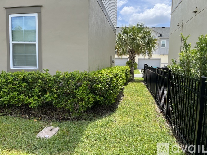 A small tree is growing in a grassy area between two buildings.