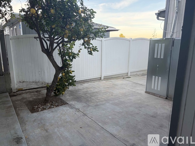 A lemon tree in a backyard with a white fence.