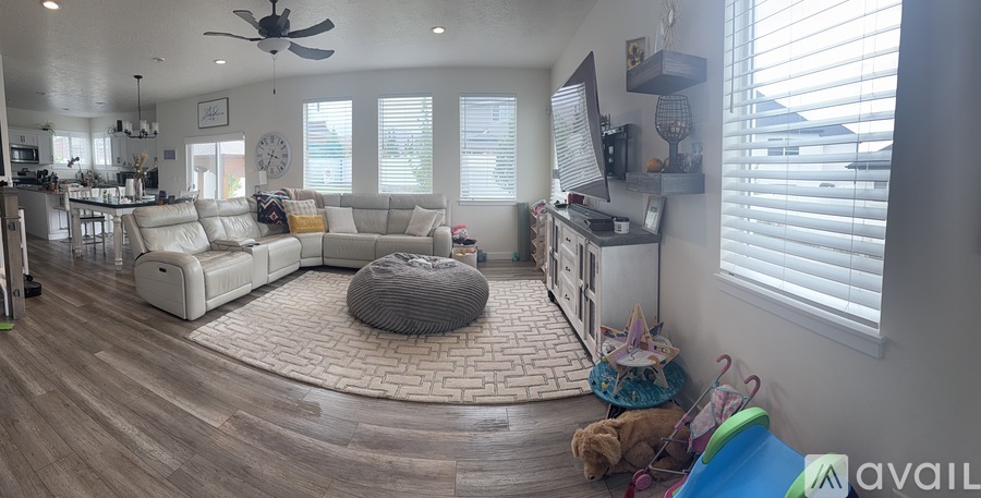 A dog is sitting on a rug in a living room.