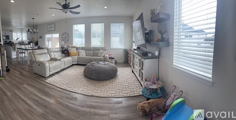 A dog is sitting on a rug in a living room.