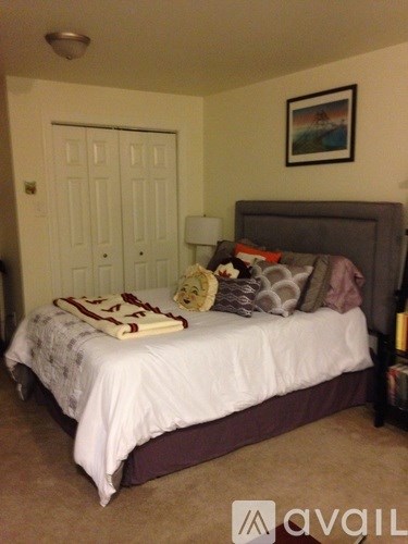 513 South Orange Street 1 Apartment for Rent