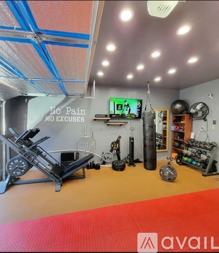 A gym with a red mat and a sign that says "No Pain No Excuses".